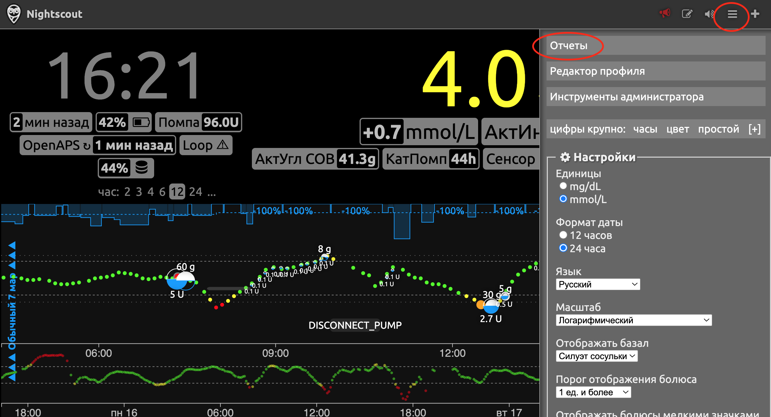 Где смотреть статистику в Nightscout